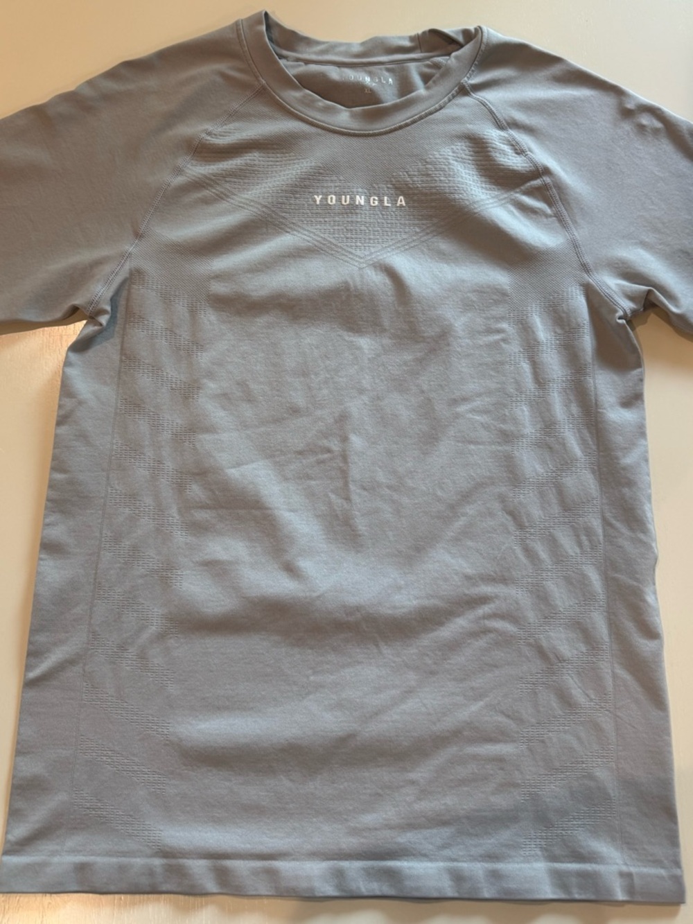 YoungLA Men's Crew Neck Tee in Light Gray